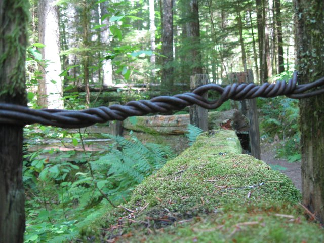 Paradise Creek-108.JPG